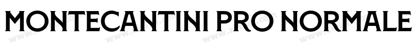 Montecantini Pro Normale Bold字体转换